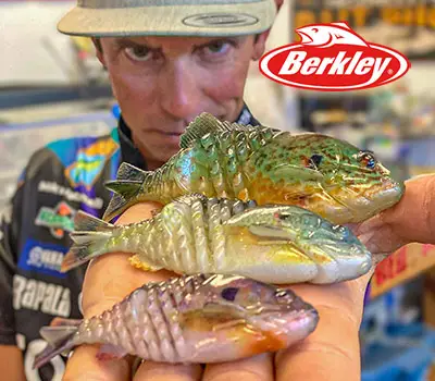 Berkley Gilly Sunfish Swimbait