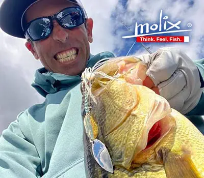 Molix Fishing Lures